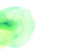 Theater im Kreis — Theater im Kiez